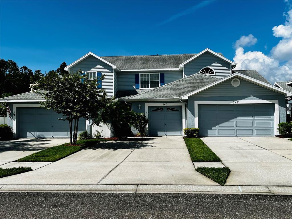 245 Hemingway Dr, Oldsmar, FL 34677 Townhome Rentals in Oldsmar FL