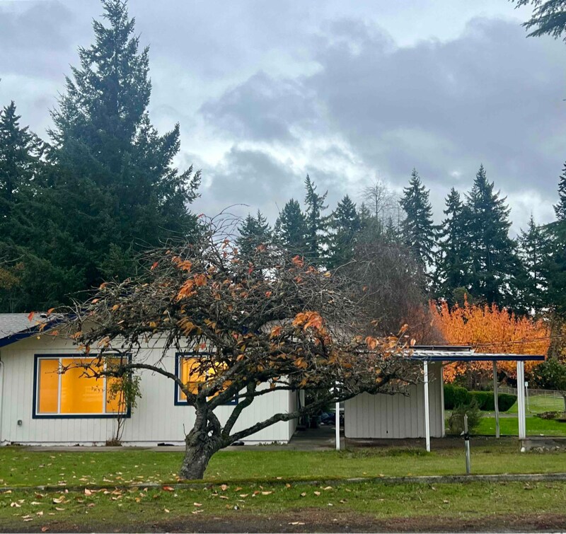 263 Tracy Ave Unit 265, Port Orchard, WA 98366 Room for Rent in Port