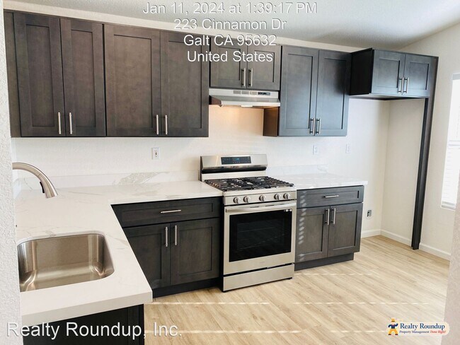 Building Photo - 4 br, 2 bath House - 223 Cinnamon Dr