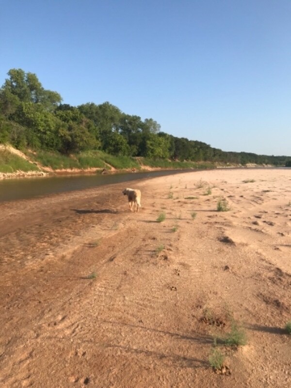 Foto principal - 4411 County Rd 127