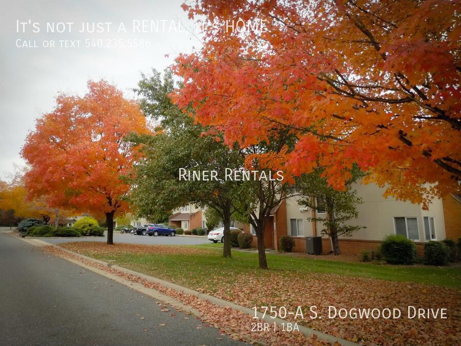 Foto principal - 1750-A S Dogwood Dr