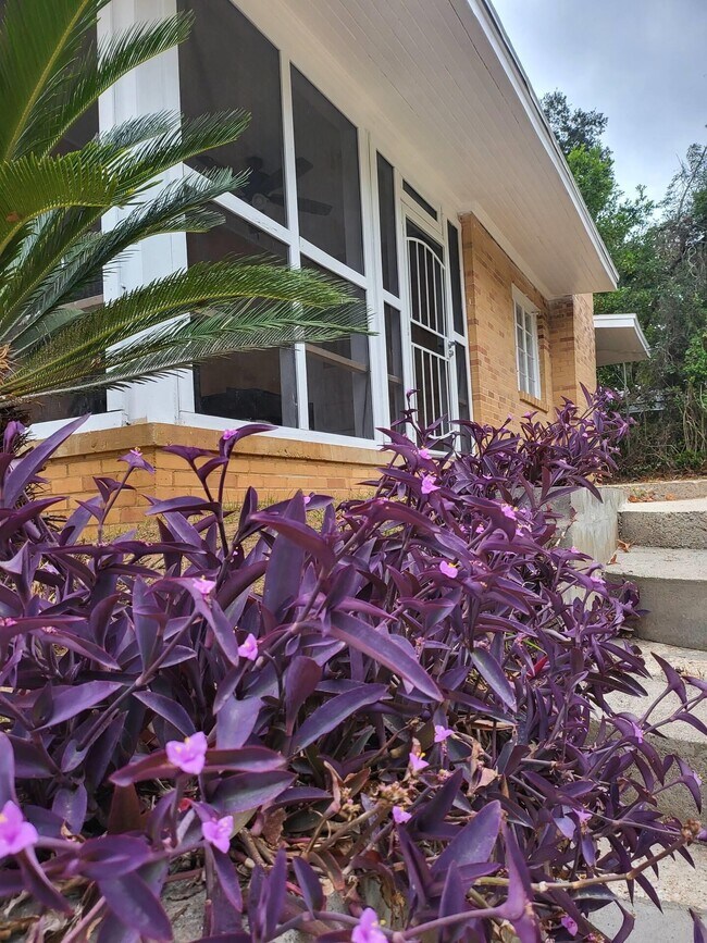 Foto del edificio - 318 E Palmer Ave