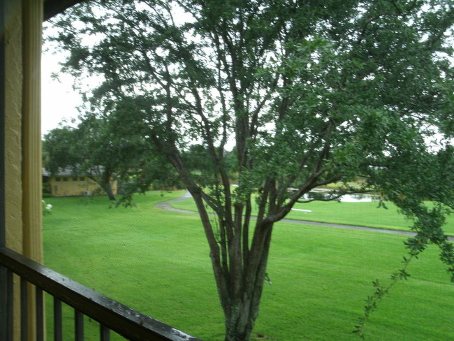 Building Photo - Meadows on the Green Condo