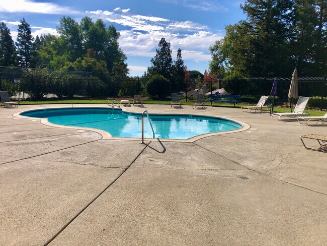 Community Pool - 2405 Deer Tree Ct