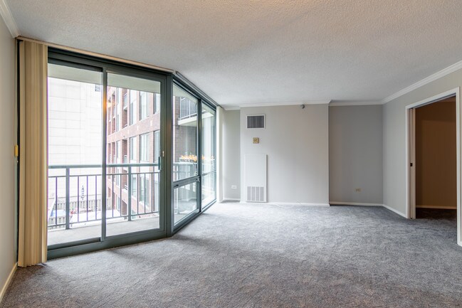 Building Photo - 480 N McClurg Ct