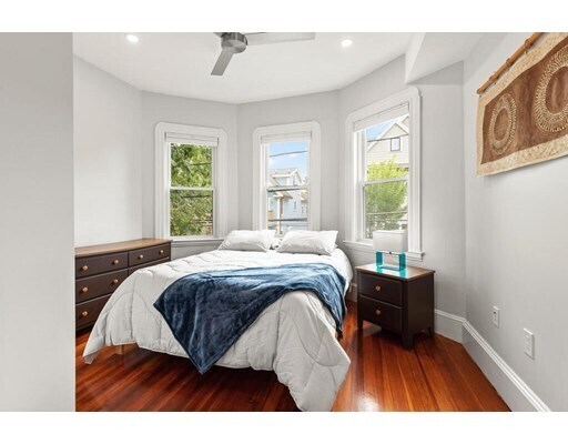 Building Photo - 46 Elmwood St