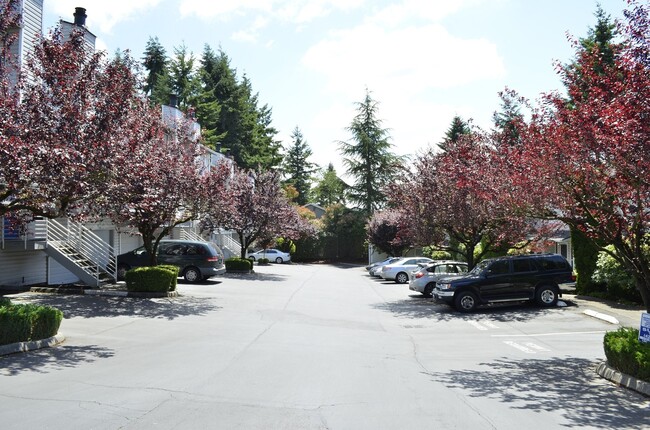 Foto del edificio - Hardwood floor townhome/water,sewer,garbag...