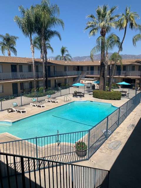 Piscina trasera - Covina Palms Apartments