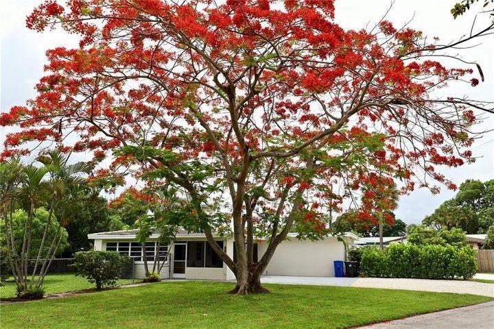 Primary Photo - 1130 SW 29th St