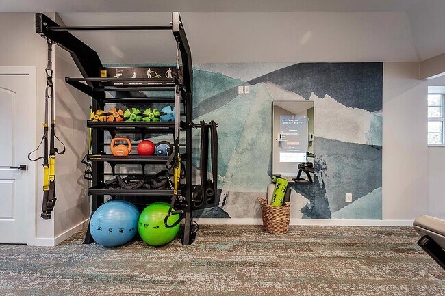 Gimnasio abierto las 24 horas con espejo Echelon - The Retreat at Stillmeadow