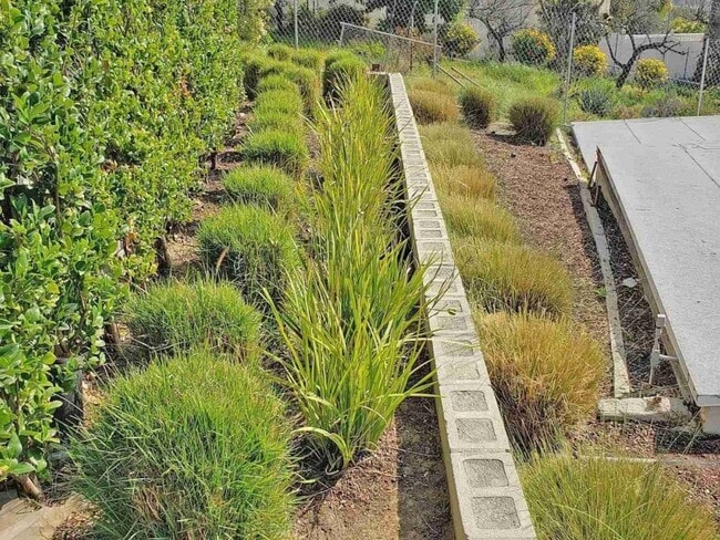 Foto del edificio - 3422 Glenalbyn Dr