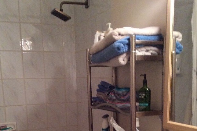 Baño - 423 Lawrence Rd