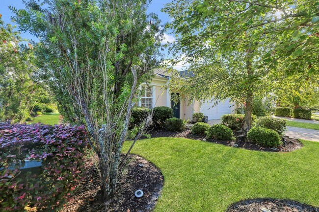 Foto del edificio - 9 Rose Bush Ln