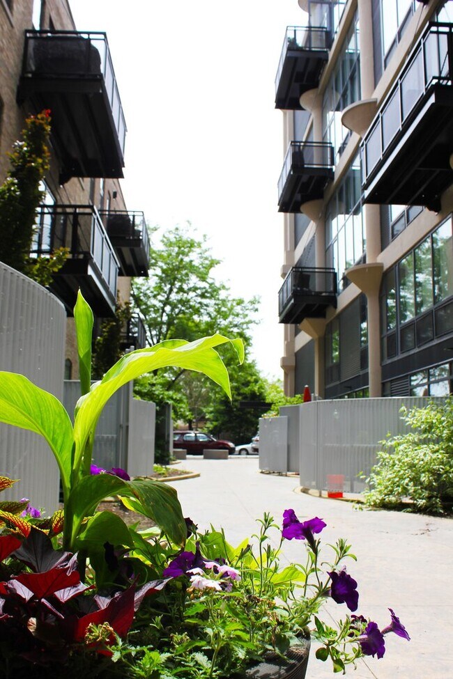 Foto del edificio - 1800 W Grace St