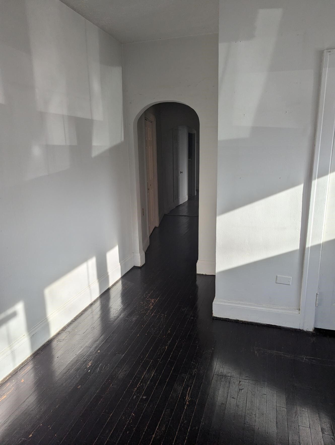 Lakewood Premier Apartments – photo 5