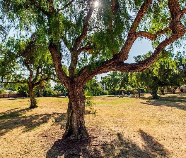 Montezuma Neighborhood Park provides a walking path and picnic tables