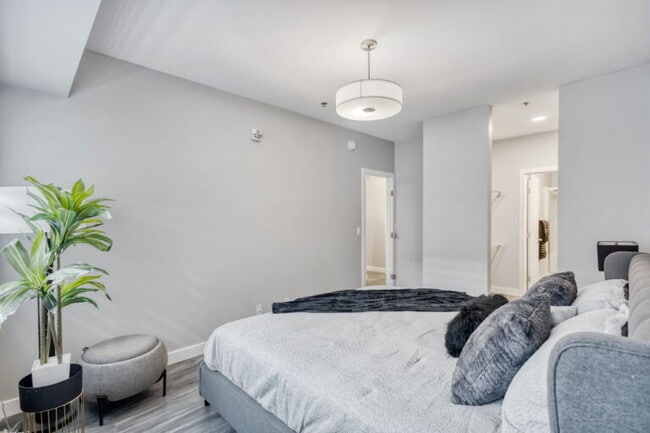 Building Photo - Bella Vista Luxury Living