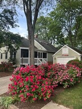 Landscaped with roses and hydrangea - 1111 Van Buren St