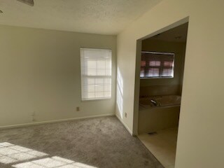 Foto del edificio - 8108 Windham Lake Way