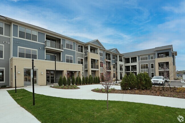 Luxury apartment Tunera 7 - Apartments for Rent in Porat ... - Airbnb - Spacious Luxury Apartments In Green Neighborhood