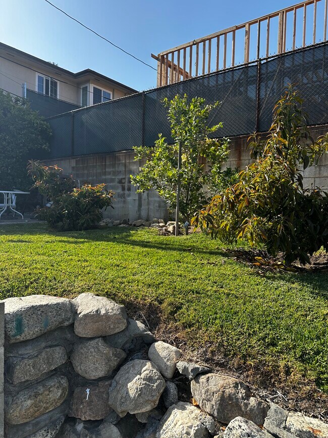 Lawn & Fruit Trees - 959 E Mariposa St