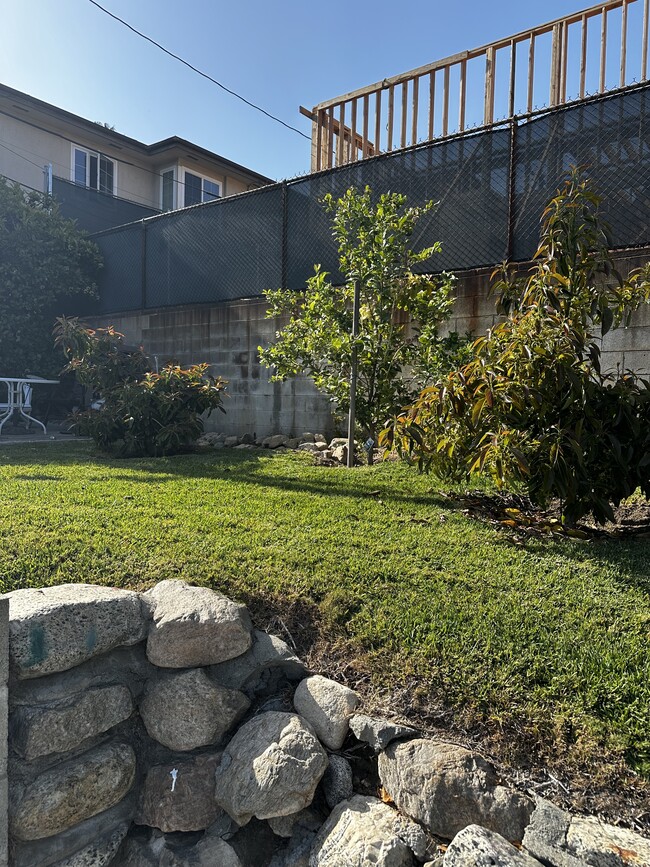 Lawn & Fruit Trees - 959 E Mariposa St
