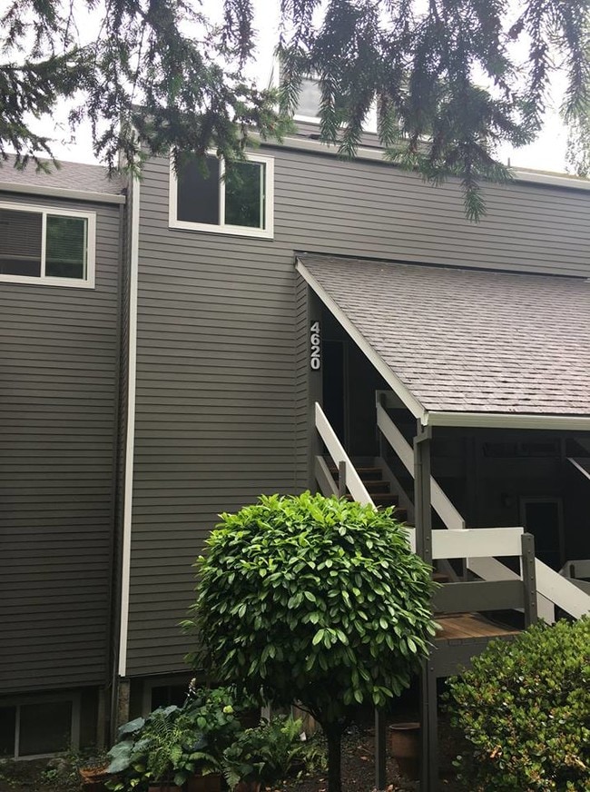 Building Photo - 4620 Lower Dr