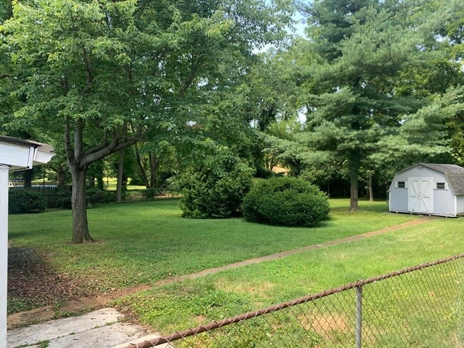 Backyard & shed - 3943 Wright Ave