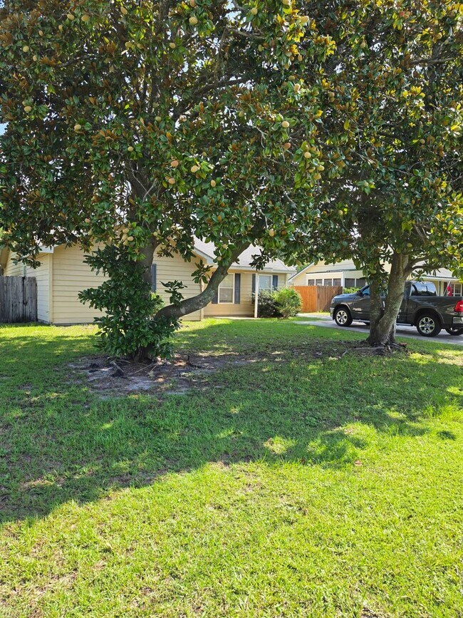 Foto del edificio - 620 Honey Ridge Ln