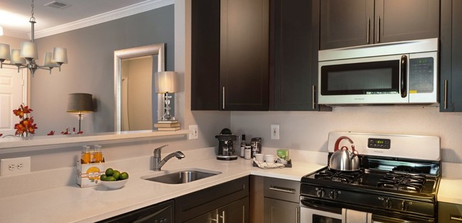 Fully Renovated Kitchens (in select units) - The Morgan Apartment Homes