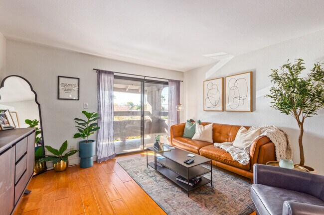 Foto del edificio - 3825 E Camelback Rd