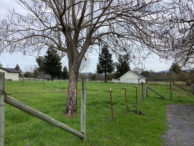 Foto del edificio - One bedroom ADU in rural Sebastopol