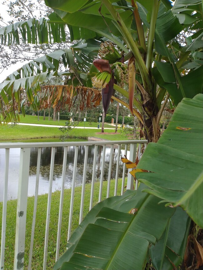 Foto del edificio - 4015 Banyan Trails Dr