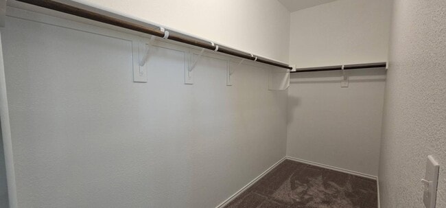 Building Photo - 2523 Carlow Ln