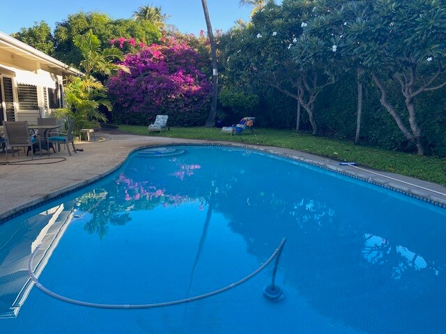 Large kidney shaped pool - 55 Hale Noho Way