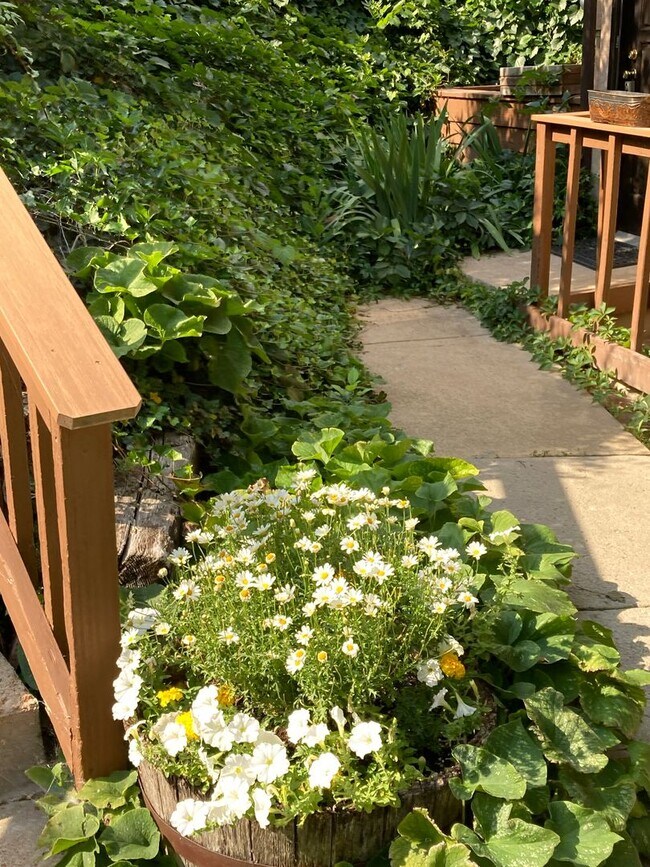 Foto del edificio - 3 Bedroom, 2 1/2 Bath Townhome - right up ...
