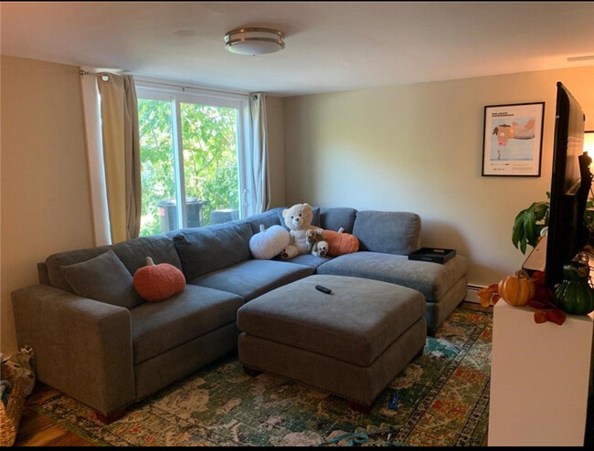 Cozy living room - 726 Cliff St