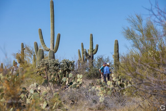 Best Neighborhoods in Tucson, AZ for Renters