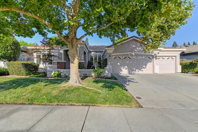 Building Photo - 1714 Dashwood Dr