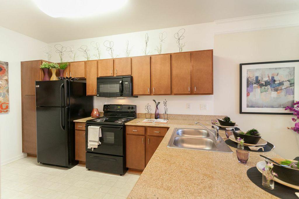 1200 Acqua Luxury Lifestyle Apartments Petersburg Va Apartments Com