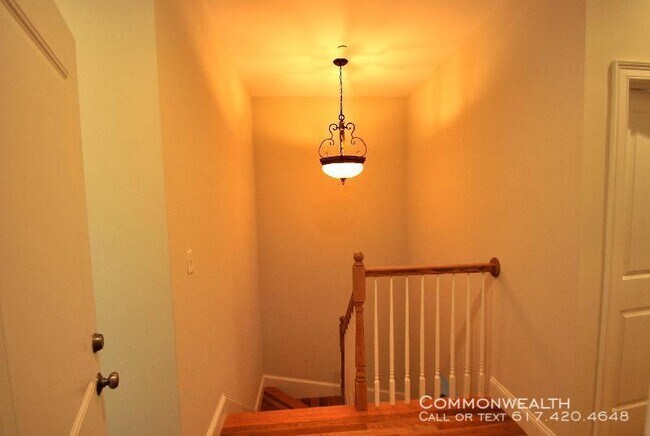 Building Photo - Fort Hill Renovated 4 bed 9/1