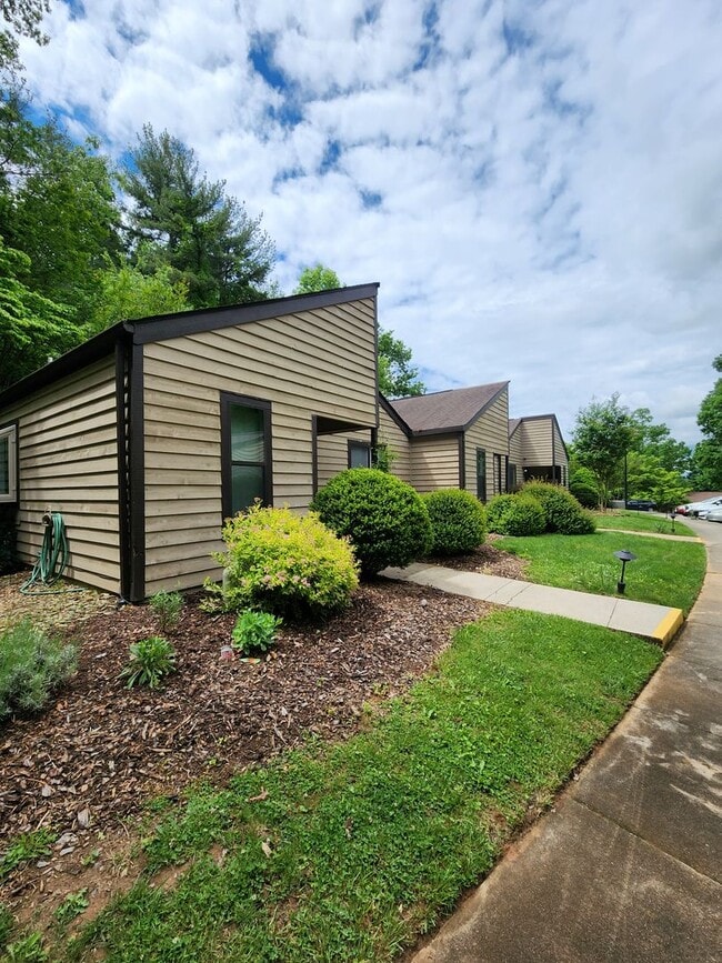 Building Photo - Black Mountain Rental!