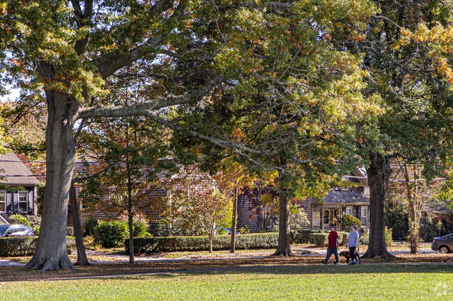 Cushman Park is a great location to walk your dog.