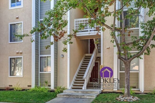 Foto del edificio - Stokley Properties Presents 2595 Oak Rd #E...