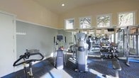 This single-floor fitness center offers a comprehensive workout environment designed to meet a variety of exercise needs. The space is thoughtfully laid out, featuring an assortment of cardio machines including ellipticals, treadmills, and a stationary bike, alongside strength training equipment such as an inversion table and a dumbbell rack stocked with free weights. Large mirrors line the walls, visually expanding the space and allowing users to monitor their form during workouts. A row of tall windows near the ceiling floods the room with natural light, creating a bright and energizing atmosphere with views of surrounding greenery. The walls are finished in a soft, calming two-tone color scheme of warm beige above and cool sage green below, complemented by a dark patterned carpet underfoot that adds both style and durability. Recessed lighting supplements the natural light, ensuring the space remains well-lit at all times. The overall ambiance is clean, functional, and welcoming, making it an ideal facility for residents or members looking to maintain an active lifestyle in a comfortable and well-maintained setting.