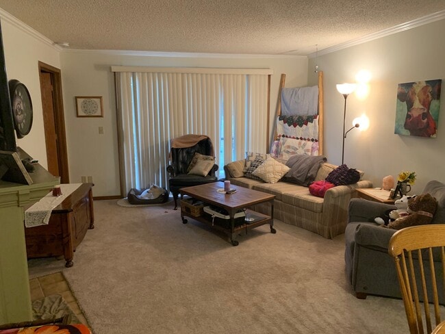 living room - 1213 W Swallow Rd