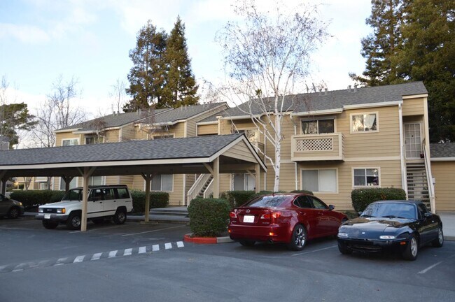 Foto del edificio - 1537 Four Oaks Cir