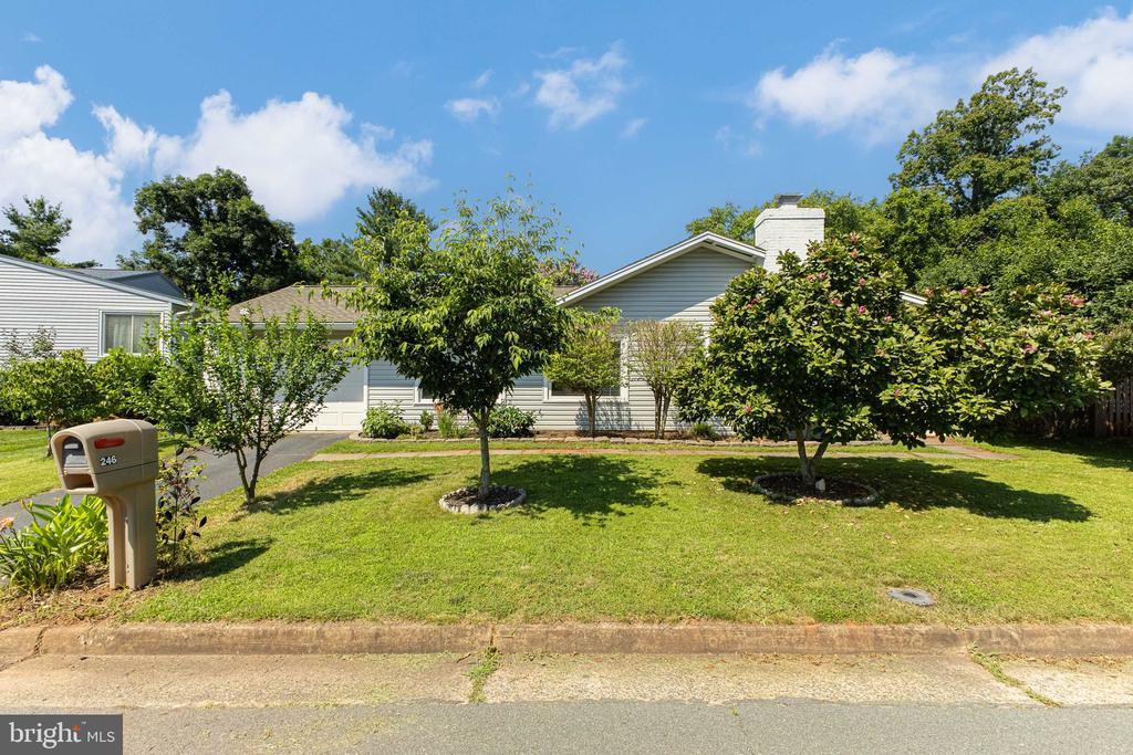 Primary Photo - 246 Avondale Dr