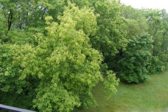 View from private balcony - 179 Little Canada Rd E