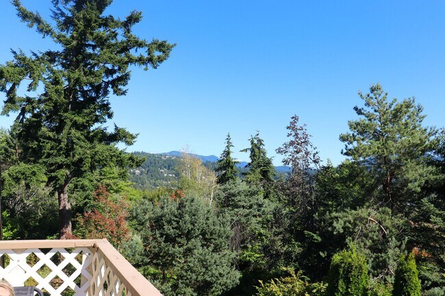 Foto del edificio - Exquisite 3 Bed, 1.75 Bath Home in Old Fai...